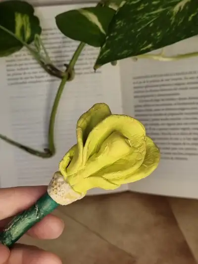 Boligrafo Flor Pétalo de Poesía - 3mini3