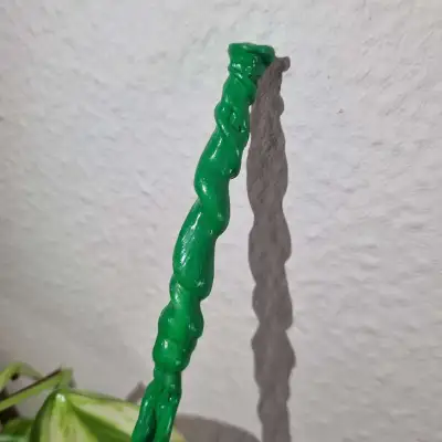 Varita - brote de júnjala mini2