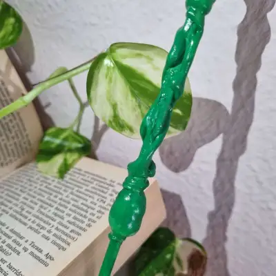 Varita - brote de júnjala mini3