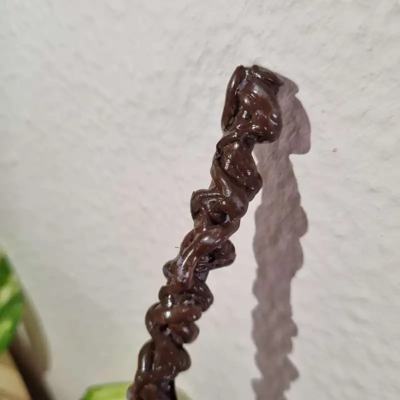 https://www.martusmagic.com/fotos/Varita - espiral de cacao mágico 