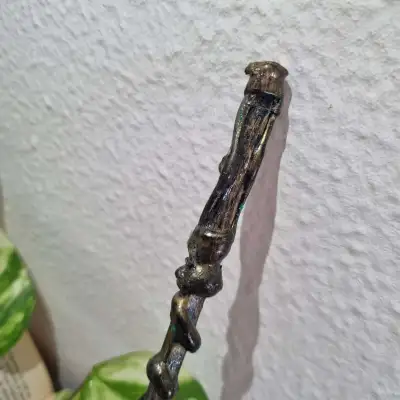 Varita - raíz de driademini2