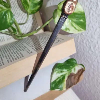 Varita -  raíz de sangremini4