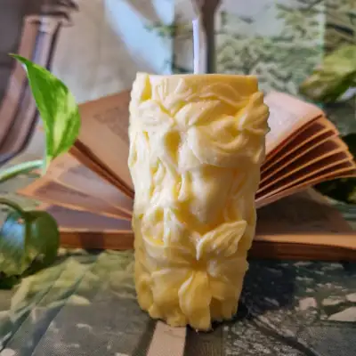 Vela ninfa del solmini1